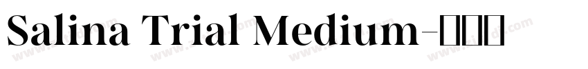 Salina Trial Medium字体转换